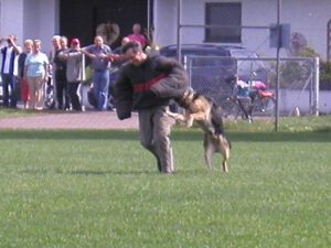 2004-08-22 Hundemeisterschaft (04)
