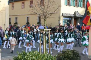 2007-02-17 Faschingszug (13)