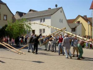 2007-05-01 Maibaum (03)