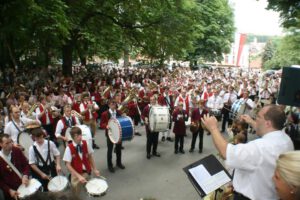 2008-07-06 135 Jahre FFW und 10 Jahre Herzog von Franken (34)