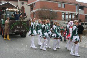 2009-02-21 Faschingszug (26)