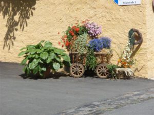 2009-07-05 Altortfest (01)