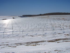 2010-03-07 Solarpark (05)