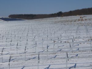 2010-03-07 Solarpark (06)