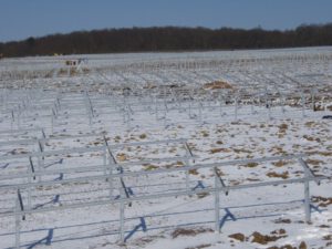 2010-03-07 Solarpark (07)