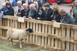 2010-09-26 Kirchweih (3)