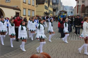 2014-03-01 Faschingszug 07