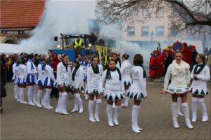 2014-03-01 Faschingszug 16