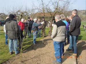 2014-03-08 Obstbaumschnittkurs 3