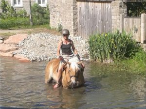 2017-05-26 Pferdebad in der kleinen Wern