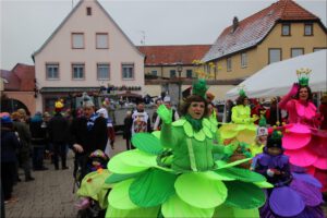 2018-02-10 15.57.29 Faschingszug