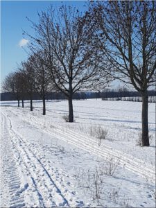 2021-02-12 13.13.59 Winterwanderung auf dem Hoehenweg