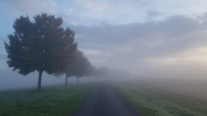 2022-10-07 08.16.44 Morgendaemmerung am Hoehenweg