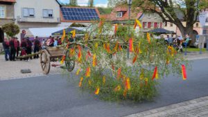 2023-04-30 15.29.21 Der Maibaum wird aufgestellt