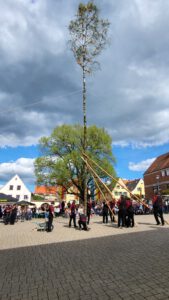 2023-04-30 16.14.40 Der Maibaum wird aufgestellt