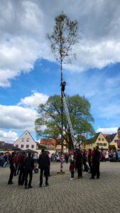 2023-04-30 16.23.57 Der Maibaum wird aufgestellt