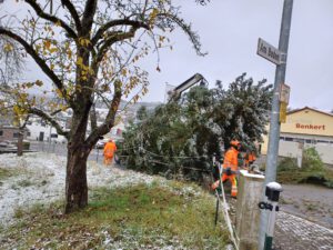 2023-11-28 10.00.00 Der Weihnachtsbaum wird aufgestellt