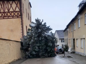 2023-11-28 10.06.04 Der Weihnachtsbaum wird aufgestellt