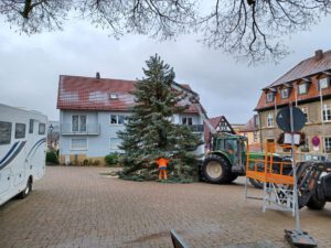 2023-11-28 12.00.00 Der Weihnachtsbaum wird aufgestellt