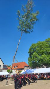 2025-05-01 14.41.17 Maifeier