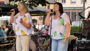 2025-07-12 20.13.20 MusikSommernacht