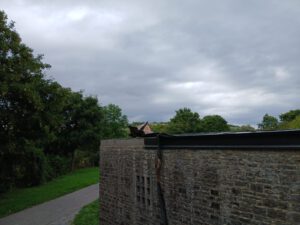 2025-08-05 Kupferdiebe im Friedhof 2