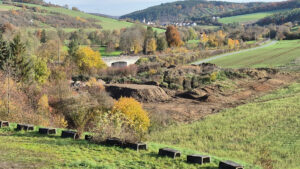 2025-11-04 10.19.05 Am Kies